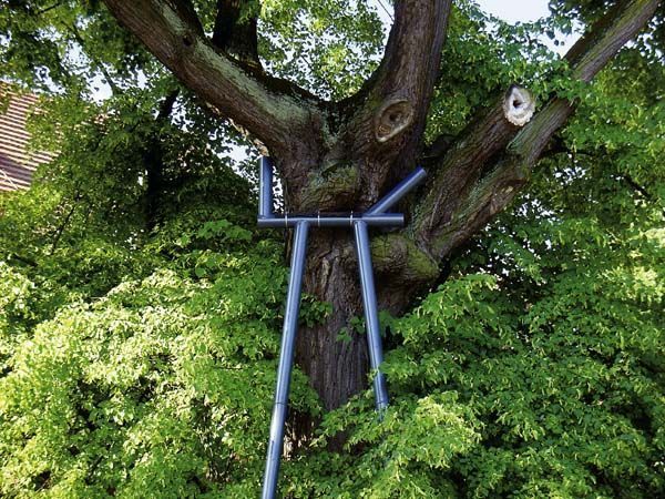 Baumstütze Baumstütze