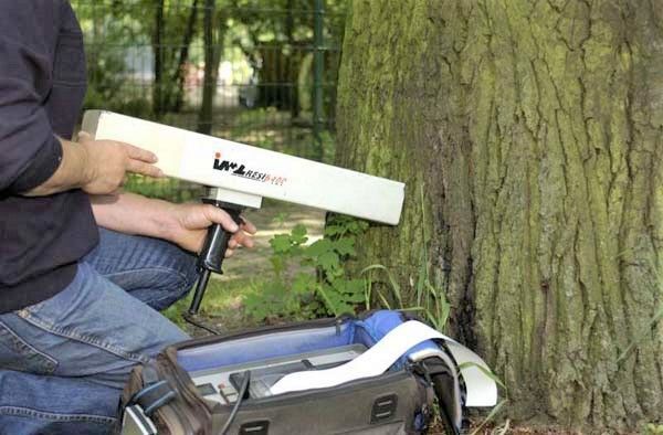 Schwachstellen im Baum lokalisieren